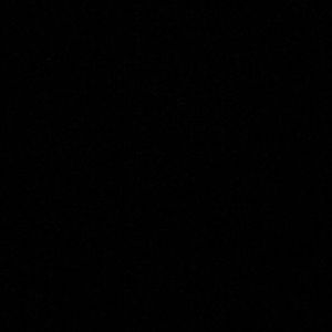 Meet your Posher, Ava